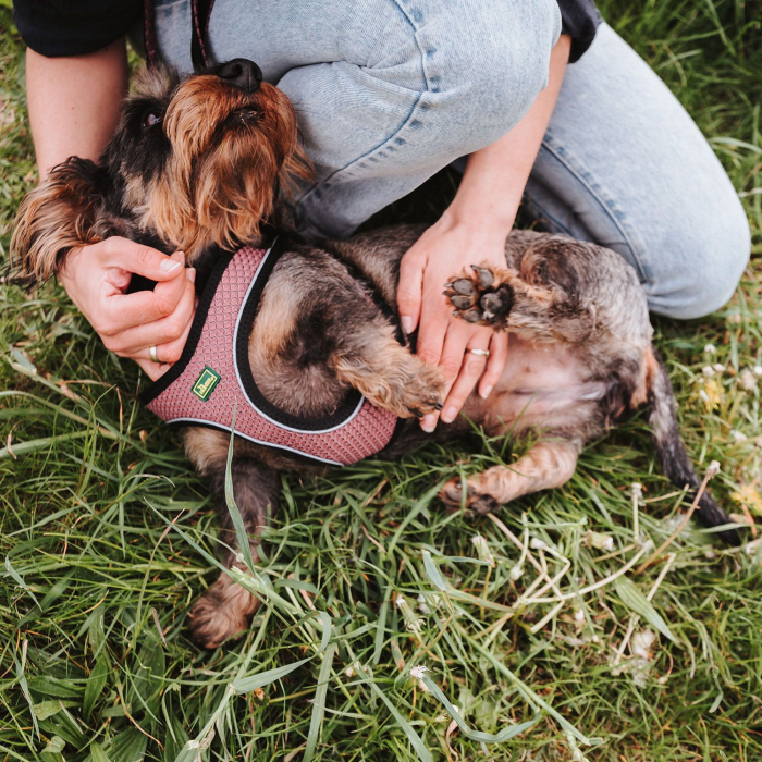 Hunter Ham Hilo Confort S-M [7]