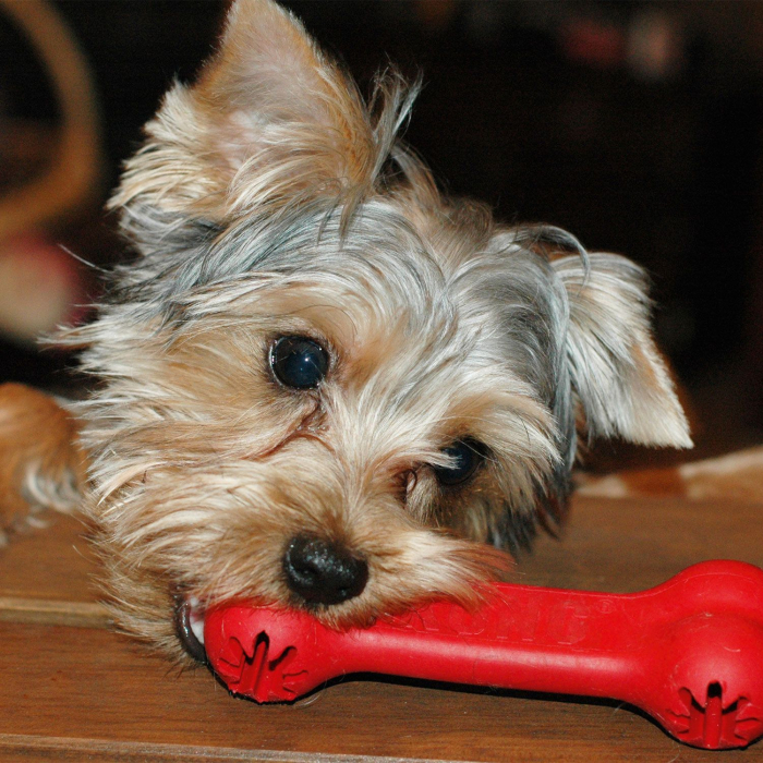 Hunter Jucarie Kong Goodie Bone 18 Cm [3]