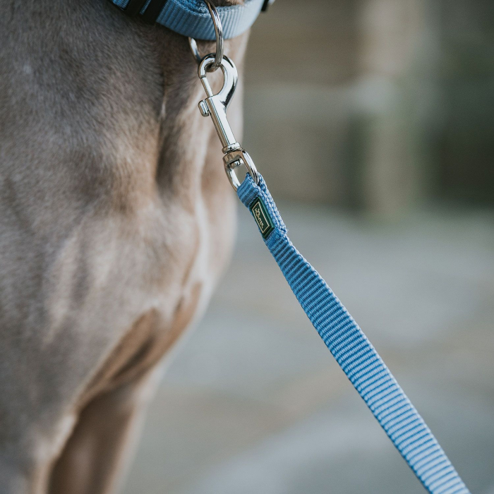 Hunter Lesa 10/110 Cm [2]