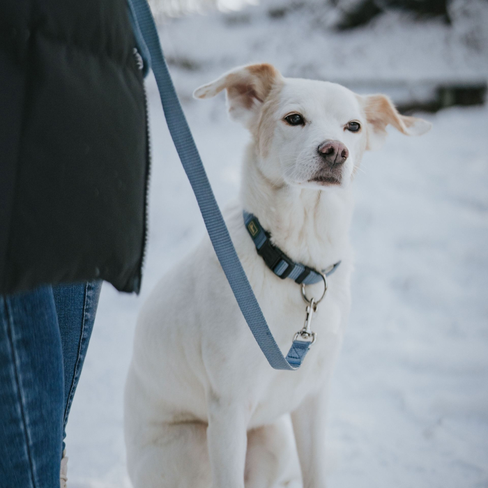 Hunter Lesa 10/110 Cm [4]