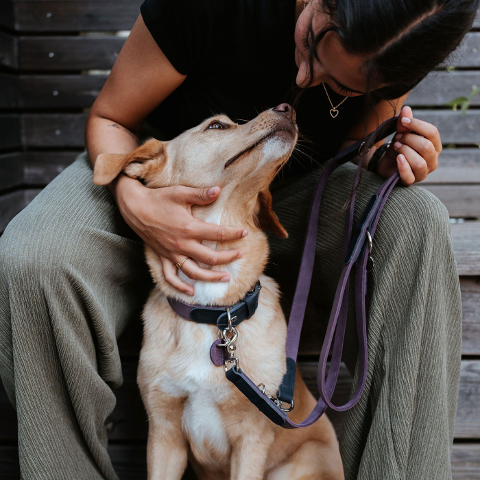 Hunter Lesa de Antrenament Lemvig din Piele Naturala 1.5/200 Cm [6]