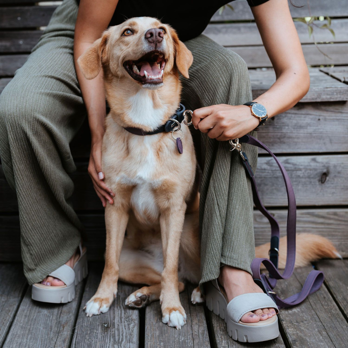 Hunter Lesa de Antrenament Lemvig din Piele Naturala 1.5/200 Cm [8]
