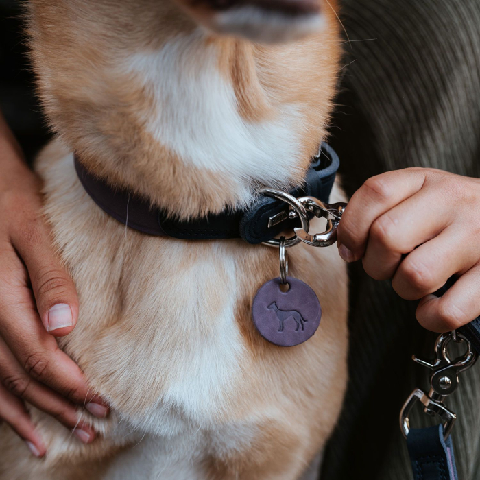 Hunter Lesa de Antrenament Lemvig din Piele Naturala 1.5/200 Cm [7]