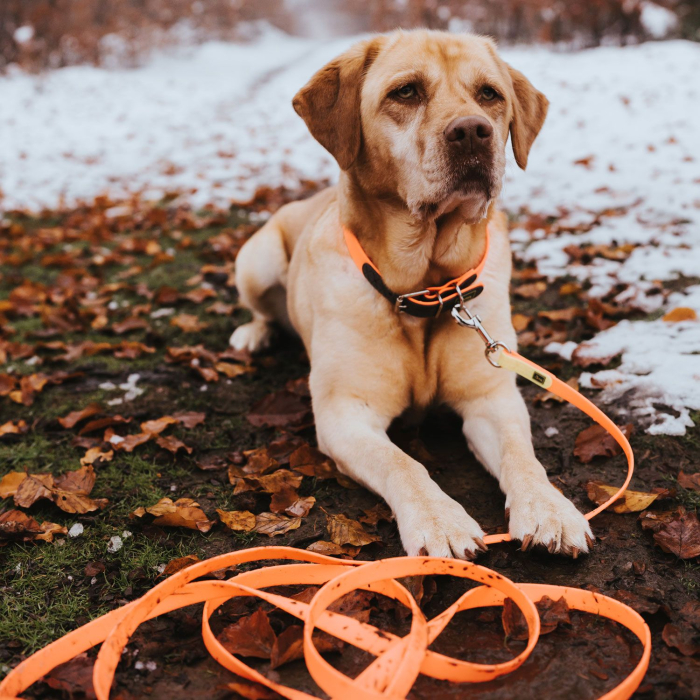 Hunter Lesa Training Leash Convenience 20/1200 Cm [5]