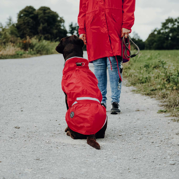Hunter Pelerina de Ploaie Uppsala Rain pentru Caini [10]