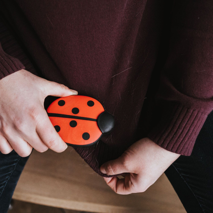 Hunter Perie Ladybug pentru Indepartarea Parului de Animale [4]