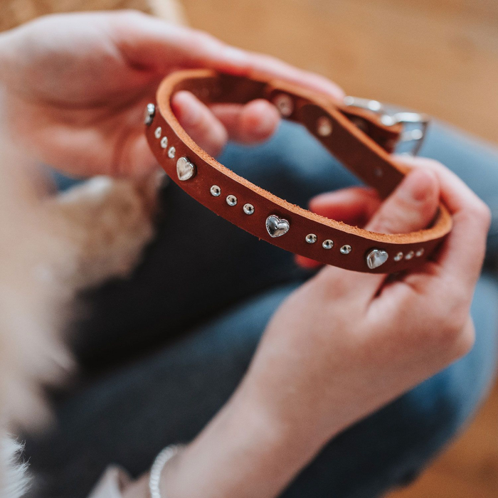 Hunter Zgarda Aalborg Hearts din Piele Naturala XS-S 37 Cm [5]