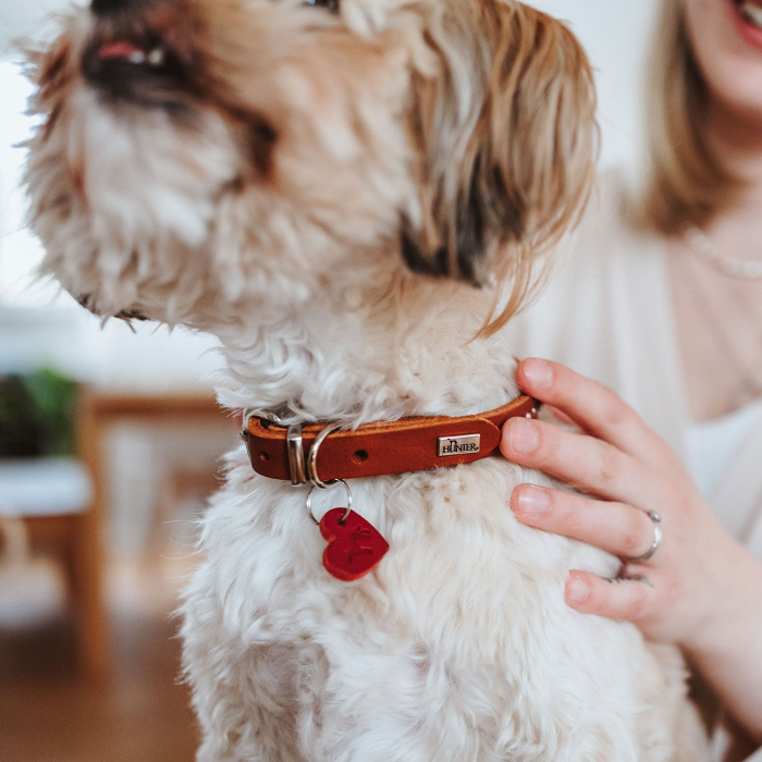 Hunter Zgarda Aalborg Hearts din Piele Naturala XS-S 37 Cm [6]