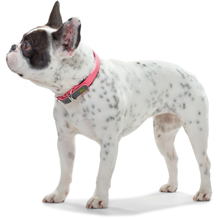 Hunter Zgarda Convenience Confort S-M 45 Cm [3]