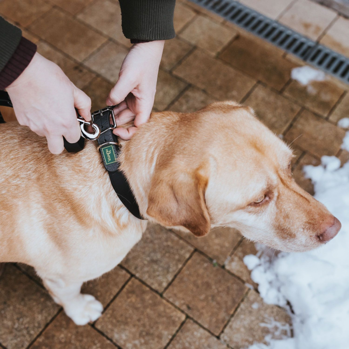 Hunter Zgarda Convenience Confort L 60 Cm [3]