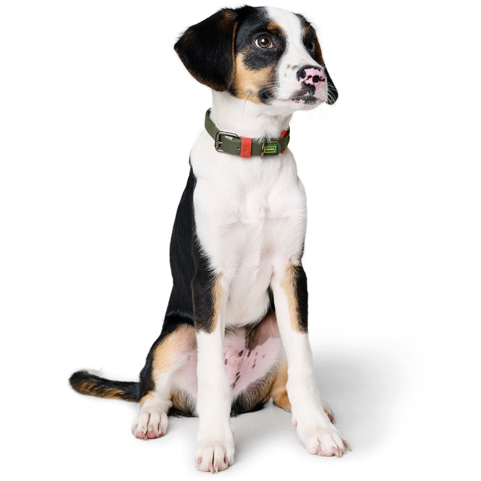 Hunter Zgarda Havanna L-XL 65 Cm [7]