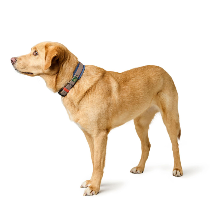 Hunter Zgarda Havanna Mini S 40 Cm [6]