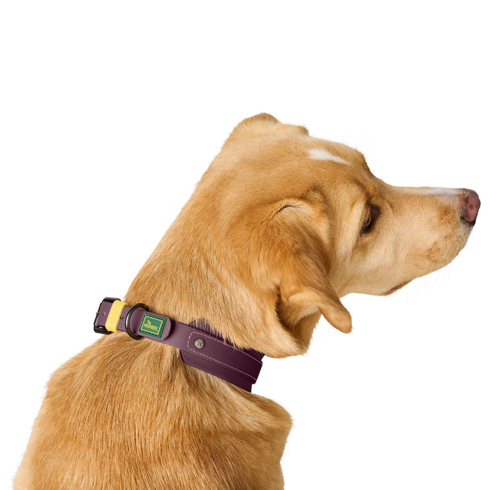 Hunter Zgarda Havanna S-M 45 Cm [7]