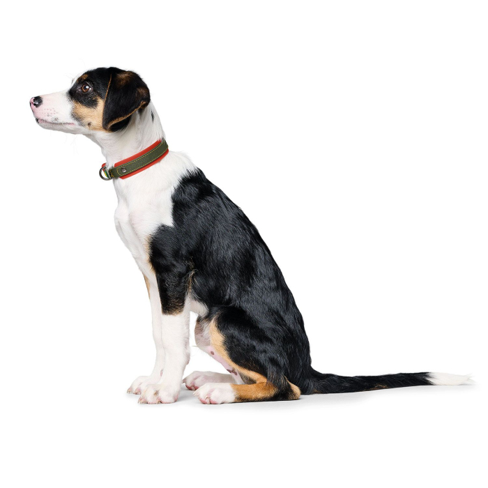 Hunter Zgarda Havanna M 50 Cm [3]