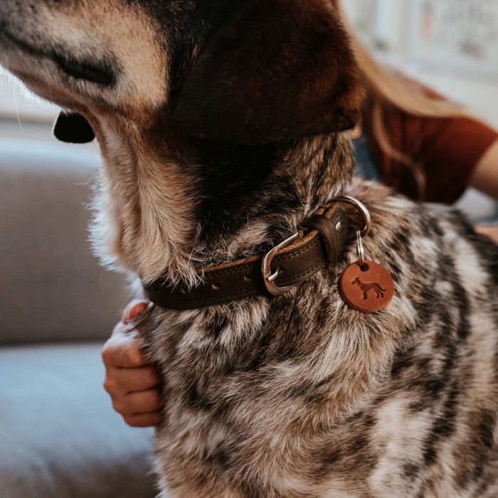 Hunter Zgarda Lemvig din Piele Naturala pentru Caini M-L 60 Cm [3]