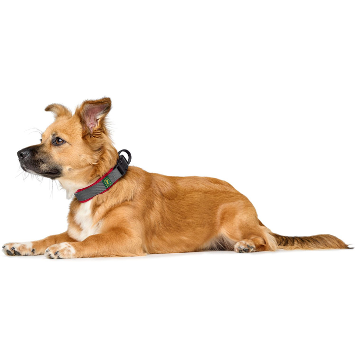 Hunter Zgarda Maldon XL [3]