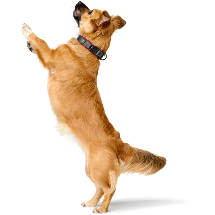 Hunter Zgarda Maldon XL [4]