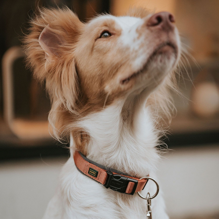 Hunter Zgarda Neopren Vario Plus L-XL [6]