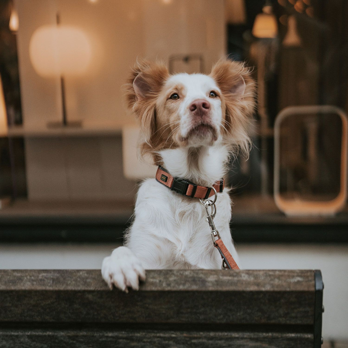 Hunter Zgarda Neopren Vario Plus L-XL [3]