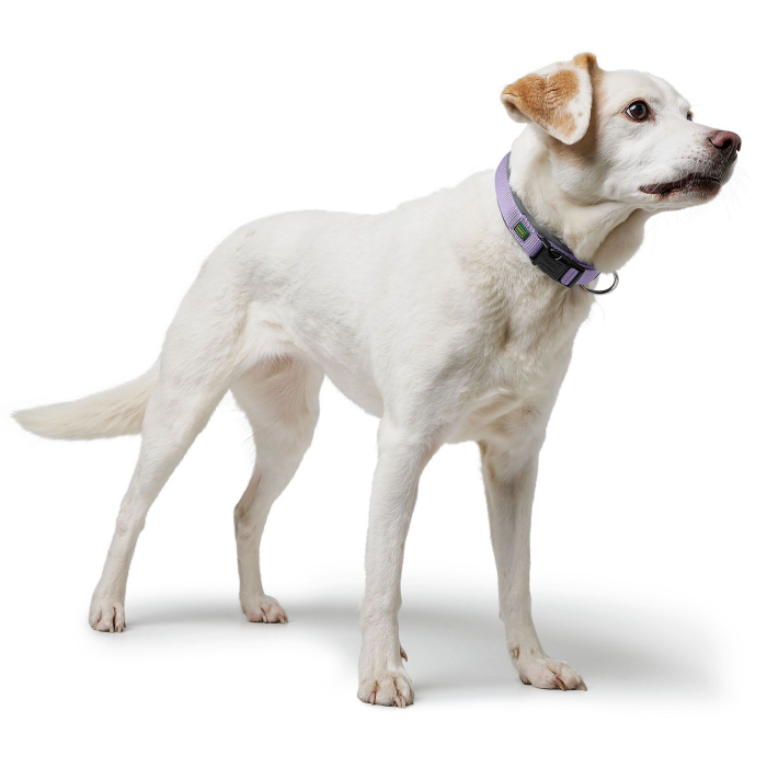 Hunter Zgarda Neopren Vario Plus M-L [2]