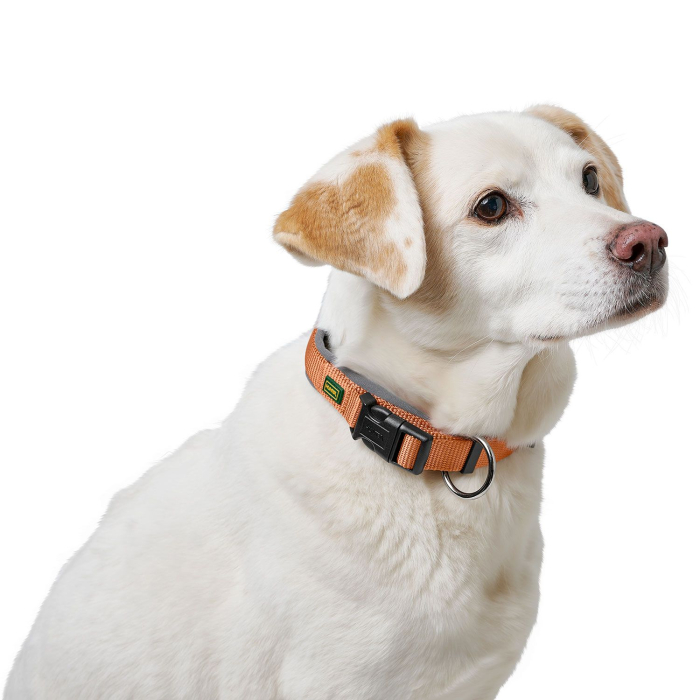 Hunter Zgarda Neopren Vario Plus S-M [2]