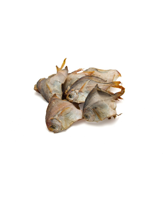 Leopet Viking Barf Pomfret Fish 100 Gr [2]