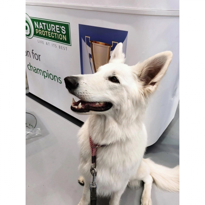 Nature's Protection Dog Maxi Adult [4]