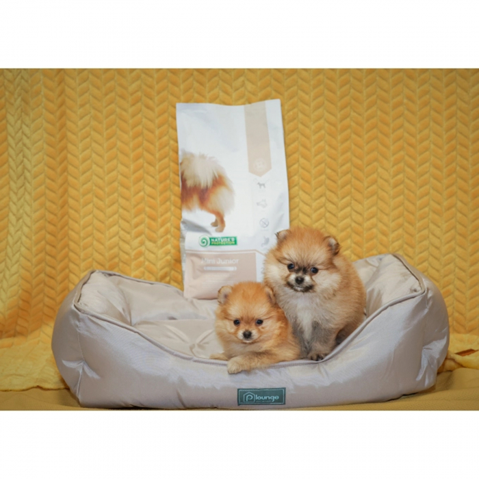 Nature's Protection Dog Mini Junior Poultry [5]