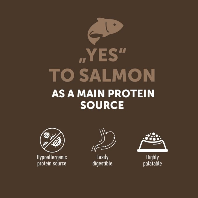Nature's Protection Lifestyle Grain Free Senior Cat cu Somon [3]