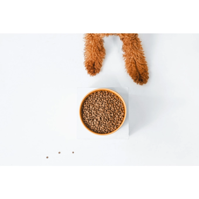 Nature's Protection Superior Care Red Coat Grain Free Salmon Adult Smalll&Mini Breeds [7]
