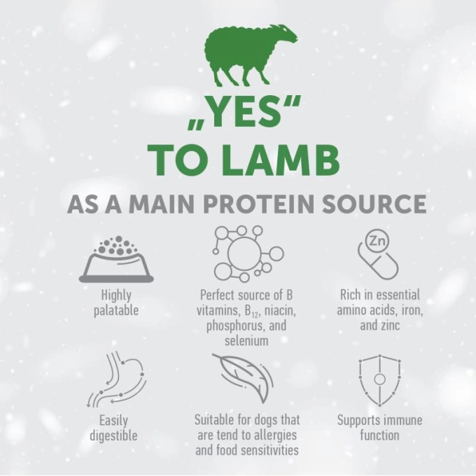 Nature's Protection Superior Care Red Coat Grain Free Lamb Adult All Breed [6]