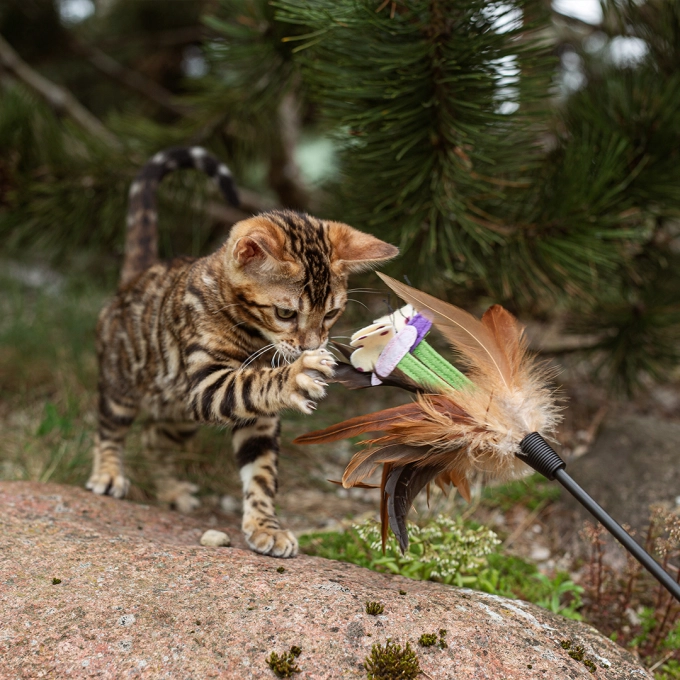 Nature's Protections Lifestyle Sterilised Cat Soup cu Somon [3]