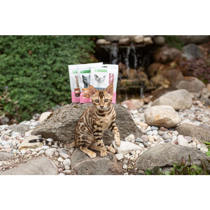 Superior Care Recompense cu Pestisori Uscati Sunfish pentru Pisici 20 Gr [2]