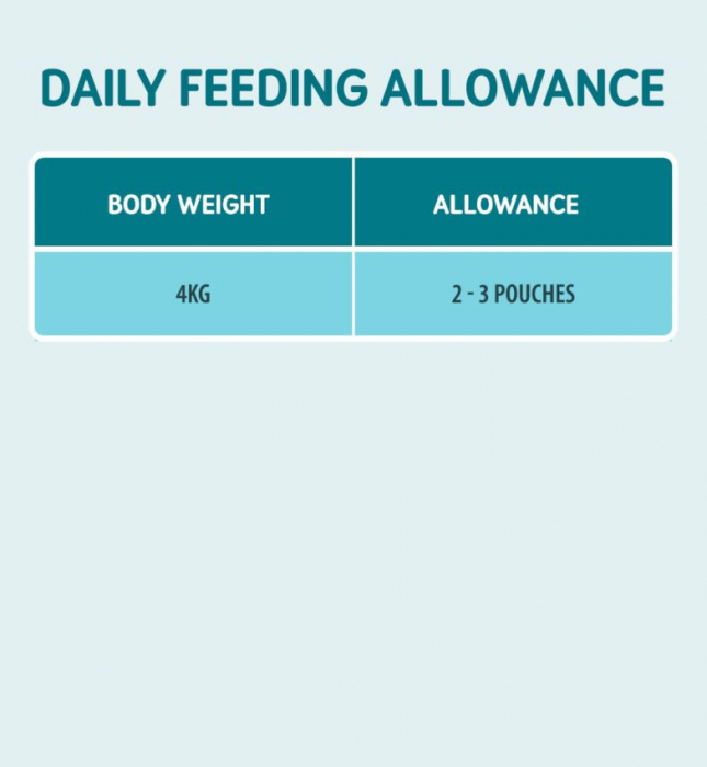 Naturo Cat Adult Grain Free Mousse cu Curcan 85g [4]