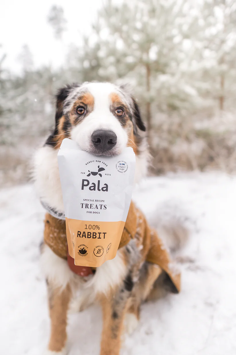 Pala Recompense Raw  Monoproteice cu Iepure pentru Caini 100 Gr [6]