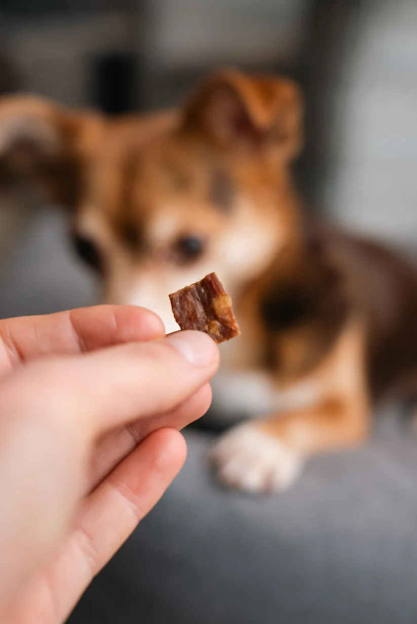 Pala Recompense Raw  Monoproteice cu Iepure pentru Caini 100 Gr [2]