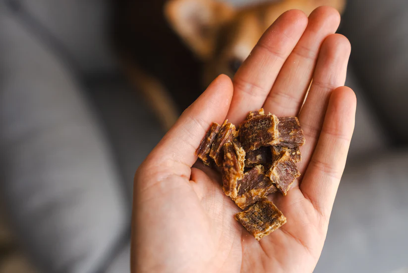 Pala Recompense Raw  Monoproteice cu Iepure pentru Caini 100 Gr [3]