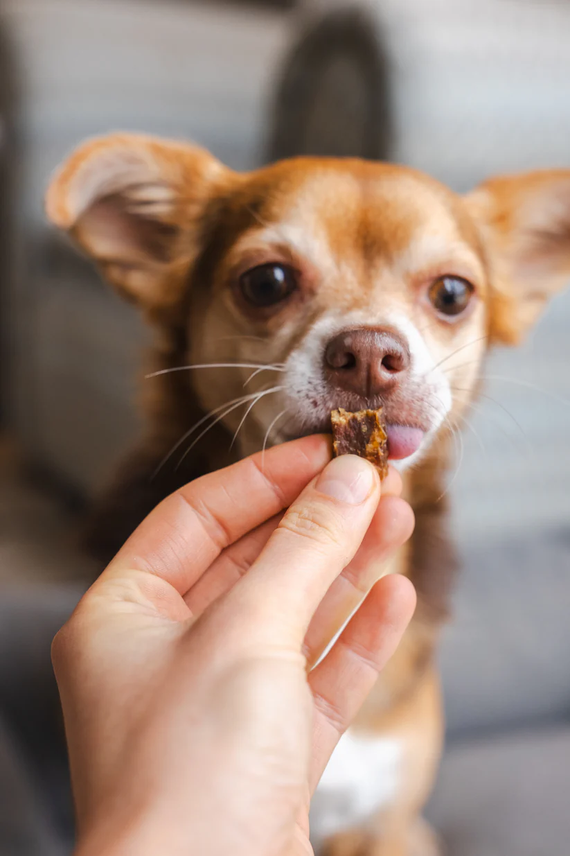 Pala Recompense Raw  Monoproteice cu Iepure pentru Caini 100 Gr [5]