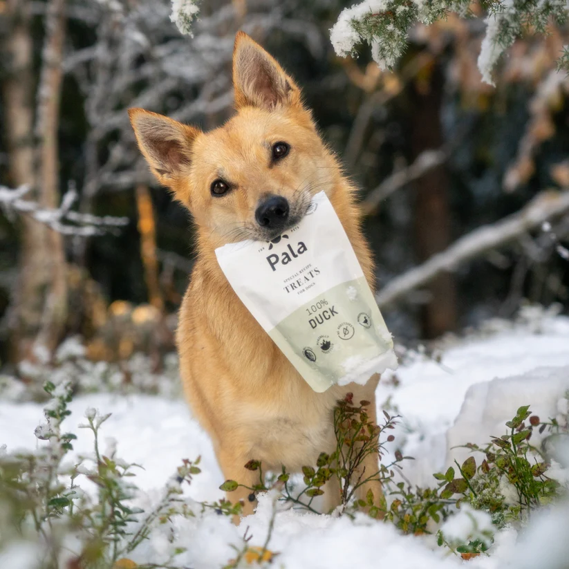 Pala Recompense Raw  Monoproteice cu Rata pentru Caini 100 Gr [6]