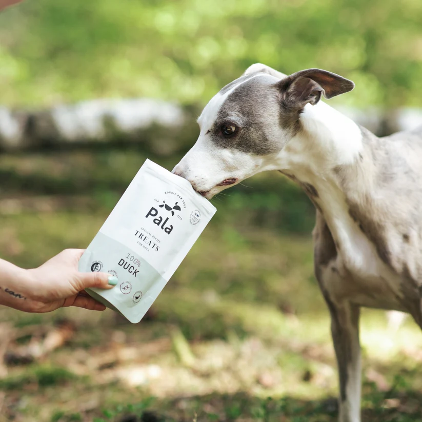 Pala Recompense Raw  Monoproteice cu Rata pentru Caini 100 Gr [5]