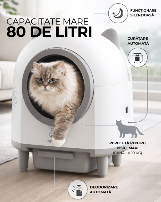 Petson Litiera Inteligenta Automata [2]