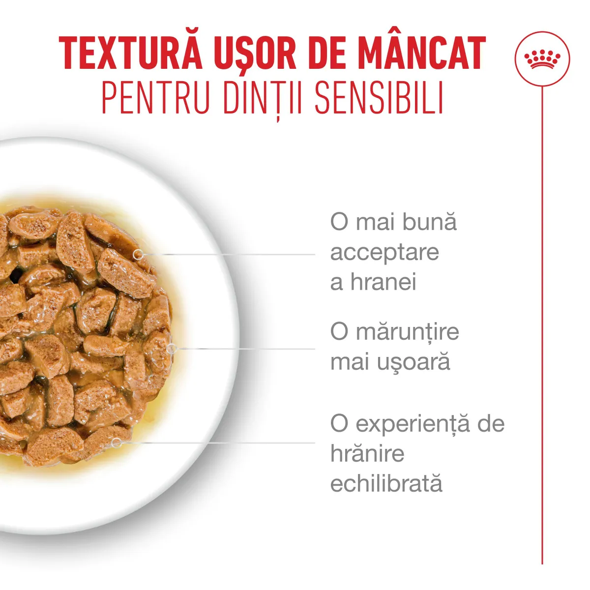 Royal Canin Ageing +11 Plic 85 G [2]