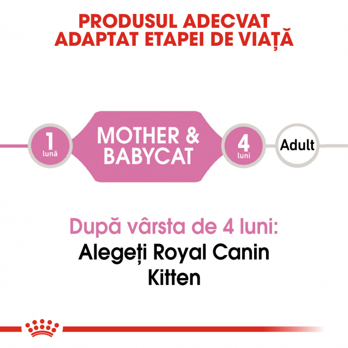 Royal Canin Babycat&Mother Mousse Conserva [5]
