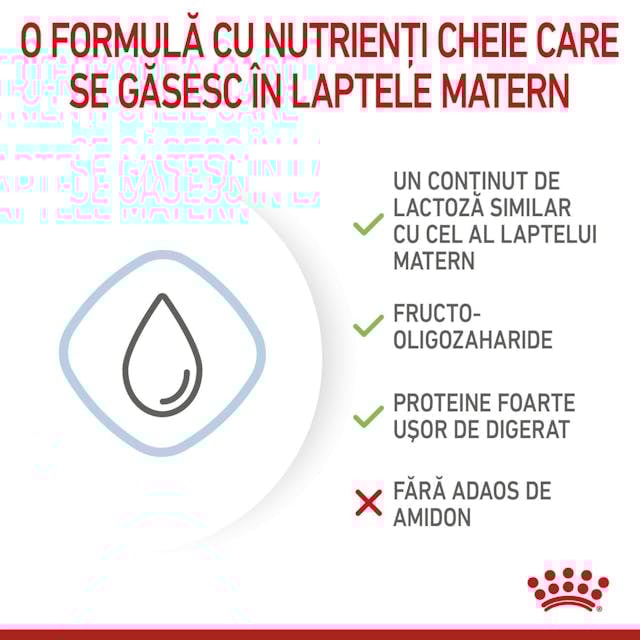 Royal Canin Baby Dog Milk 400 Gr [4]
