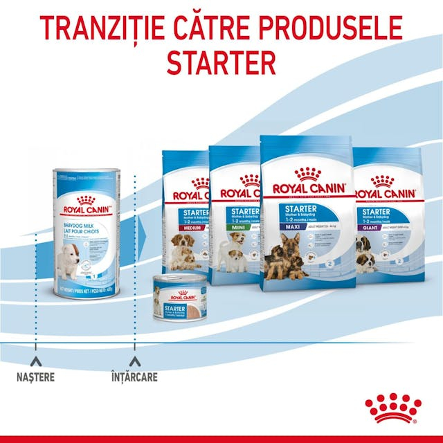 Royal Canin Baby Dog Milk 400 Gr [6]