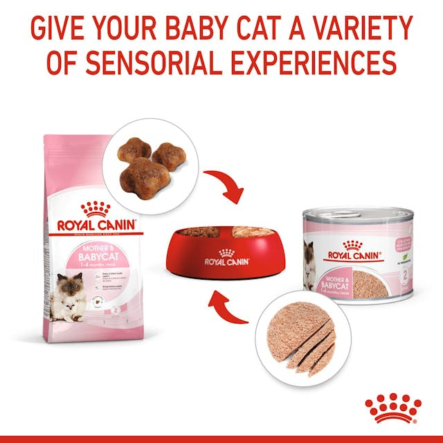 Royal Canin Babycat&Mother Mousse Conserva [4]
