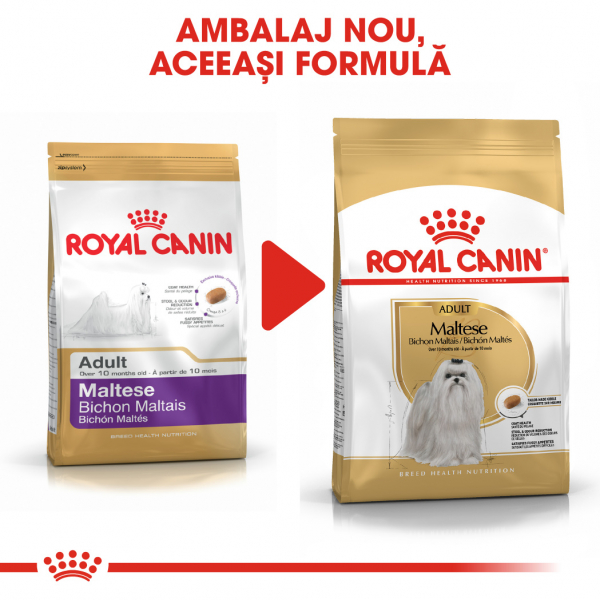 Royal Canin Maltese Adult [6]