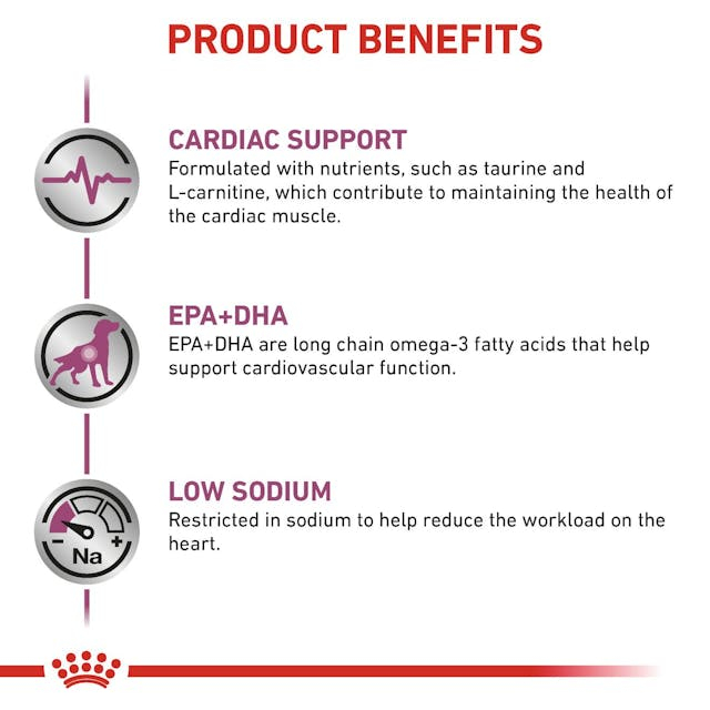 Royal Canin Cardiac Dog Conserva [3]