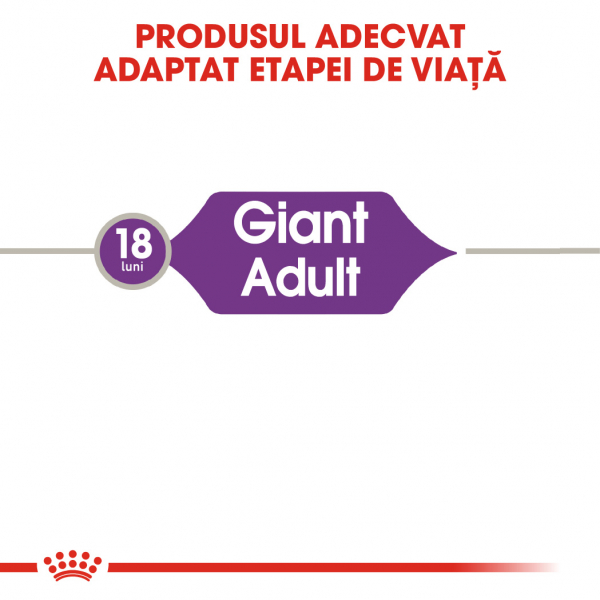 Royal Canin Giant Adult [5]
