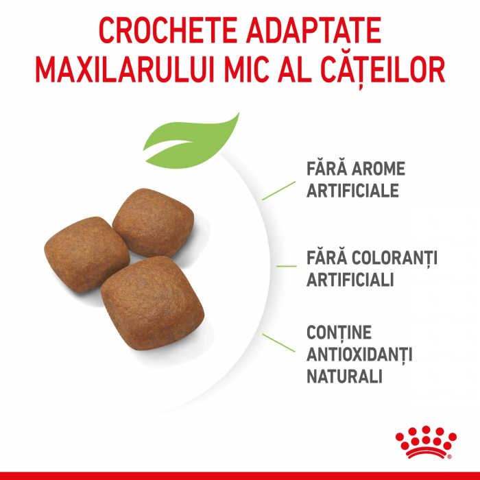 Royal Canin Giant Junior [3]